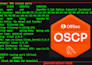 conduct a manual pentest on your website